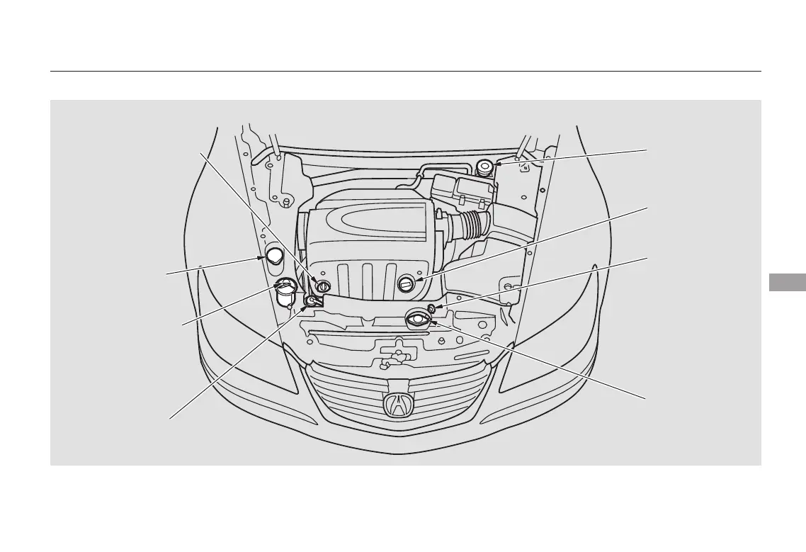 Page #304 background image