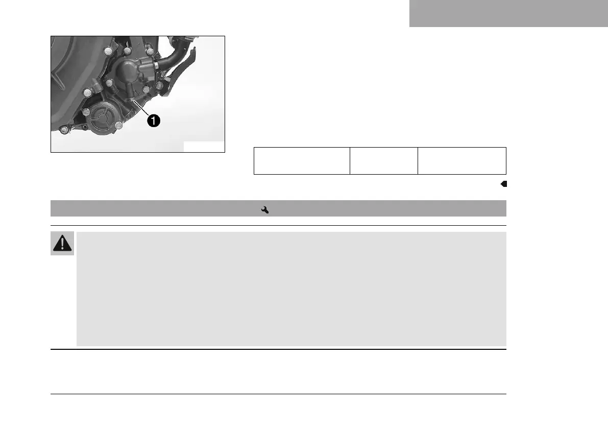 Page #209 background image