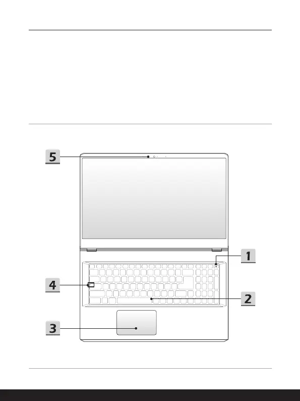 Page #17 background image