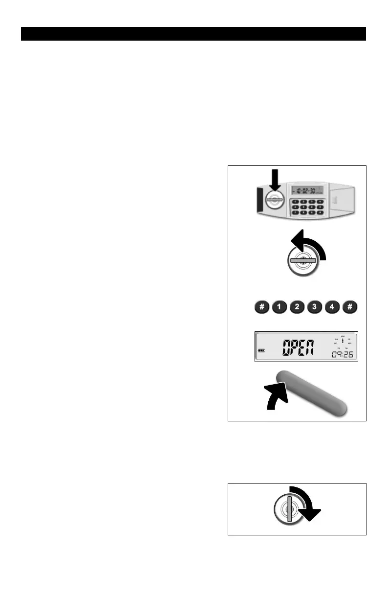 Page #5 background image