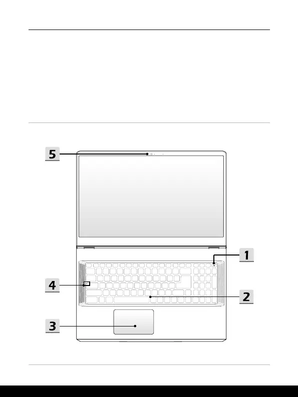 Page #17 background image
