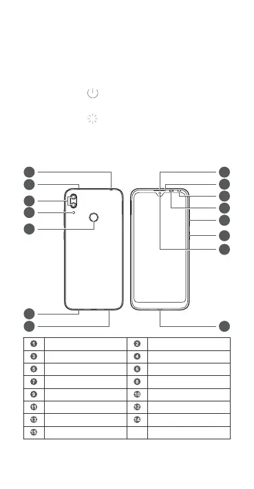 Page #2 background image