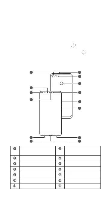 Page #66 background image