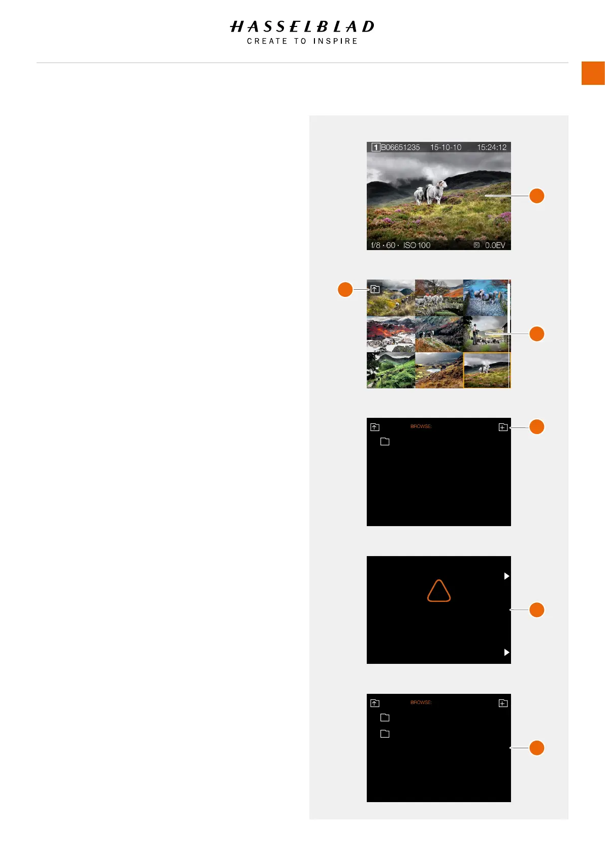 Page #77 background image