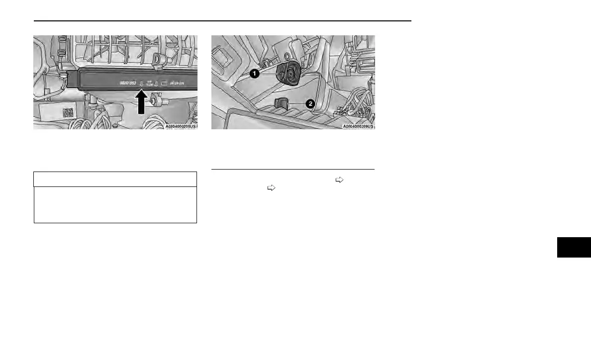 Page #319 background image