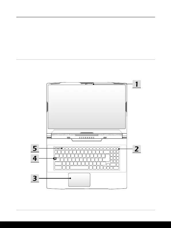 Page #19 background image
