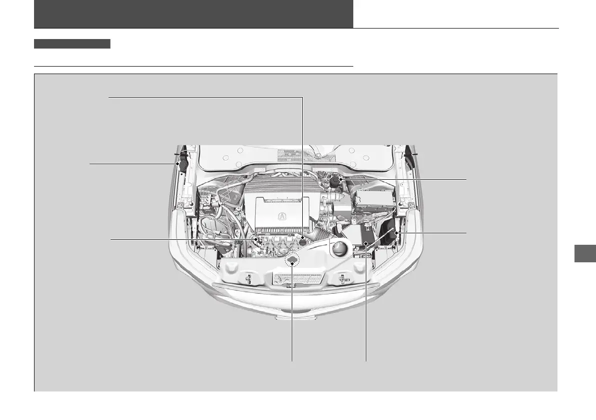 Page #605 background image