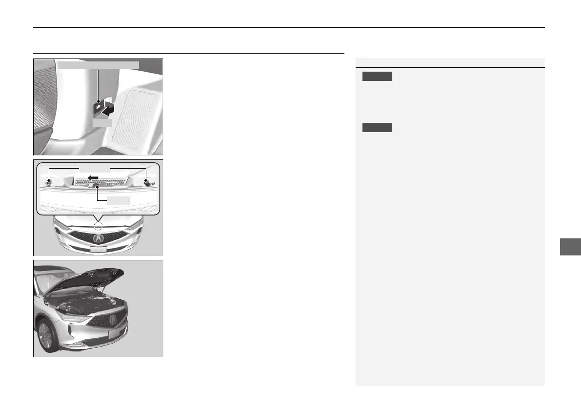 Page #607 background image