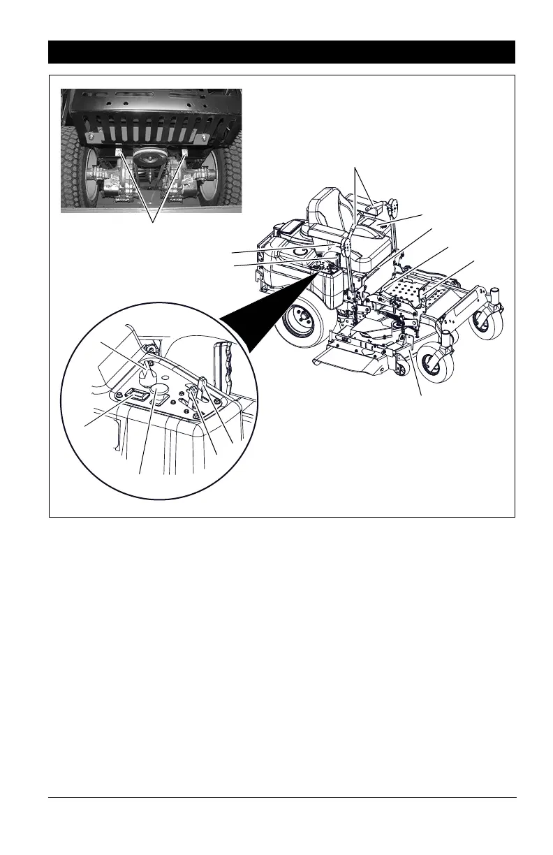 Page #13 background image