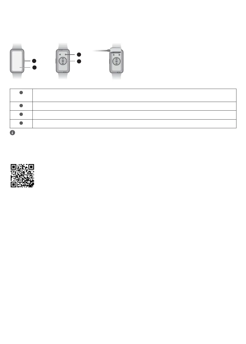 Page #31 background image