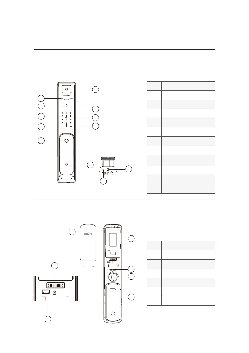 Page #10 background image