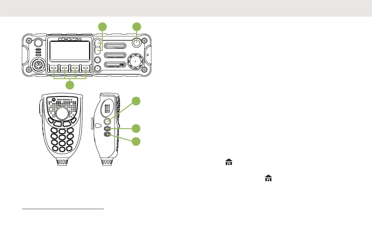 Page #37 background image