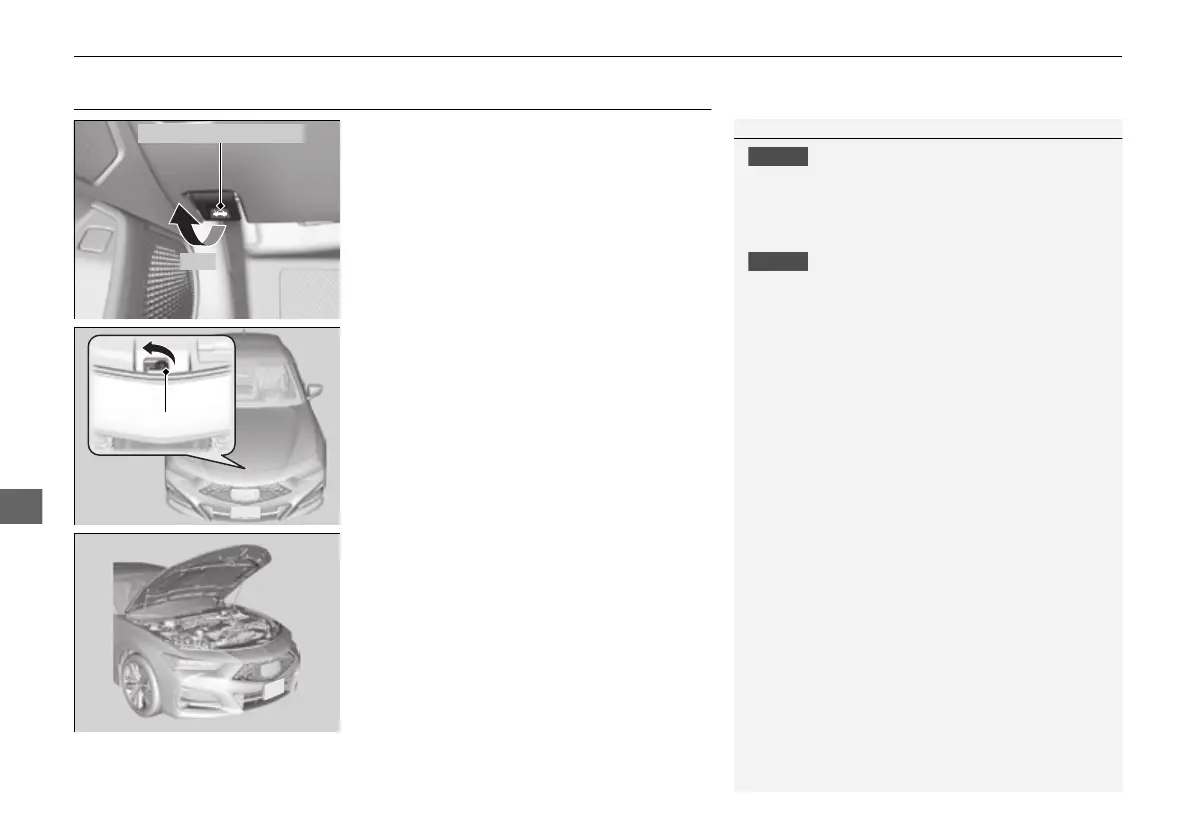 Page #536 background image