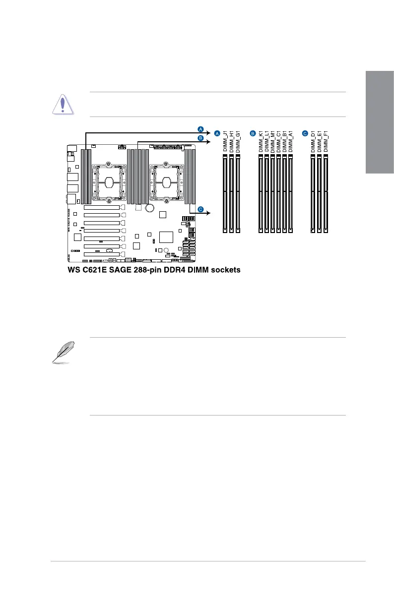 Page #21 background image