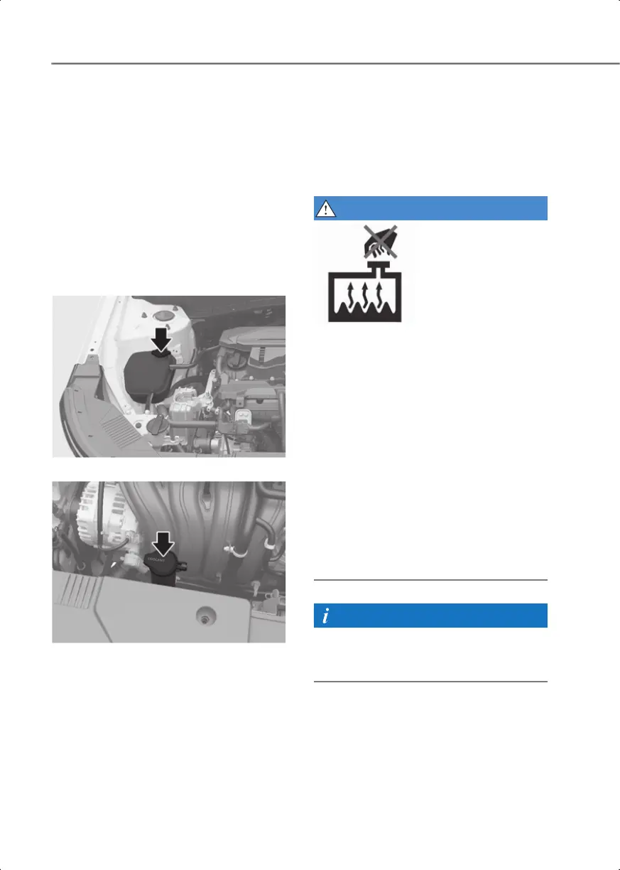 Page #519 background image