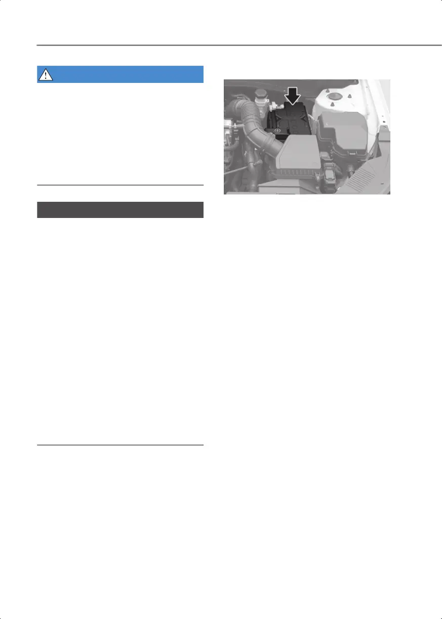Page #529 background image