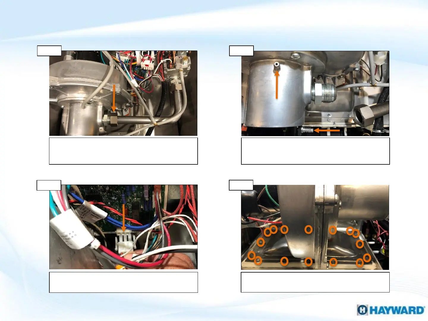 Page #17 background image