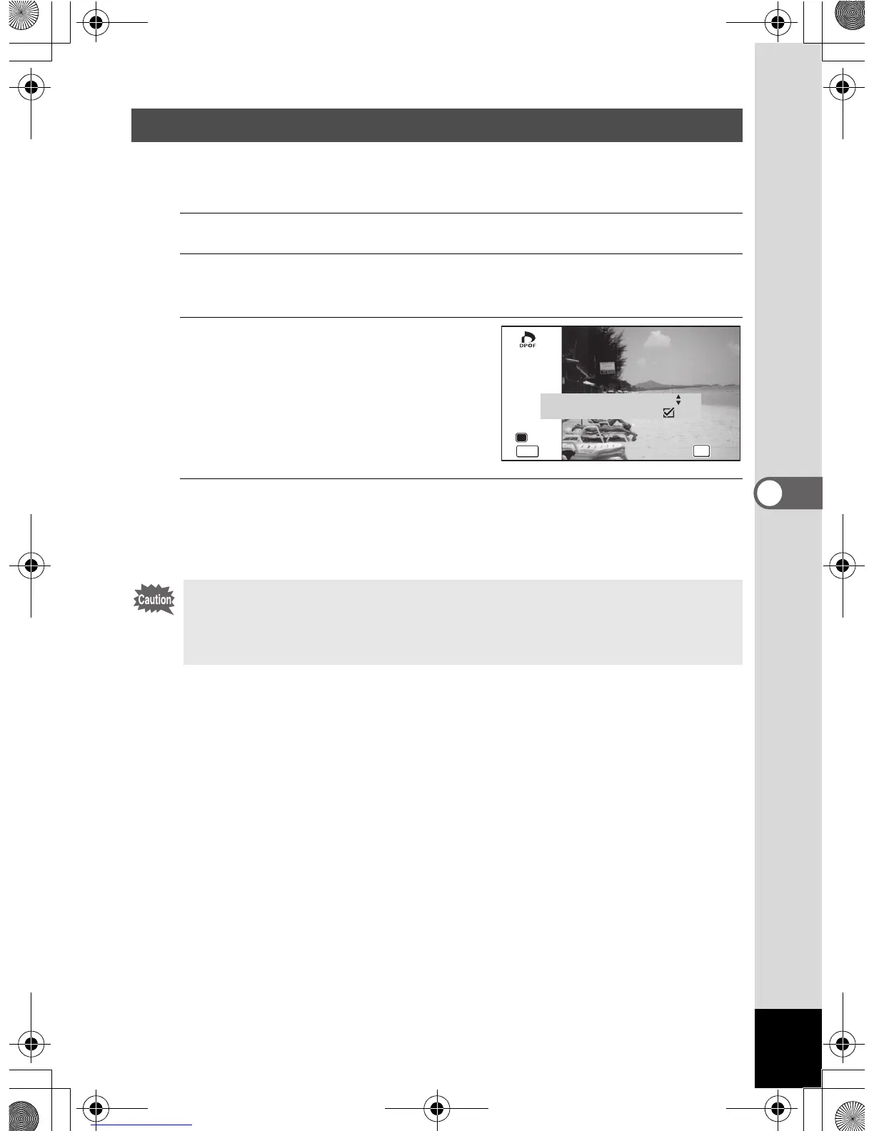 Page #219 background image