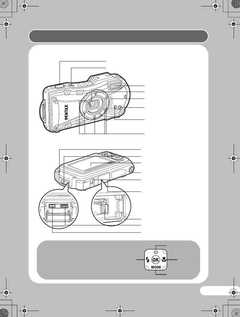 Page #11 background image