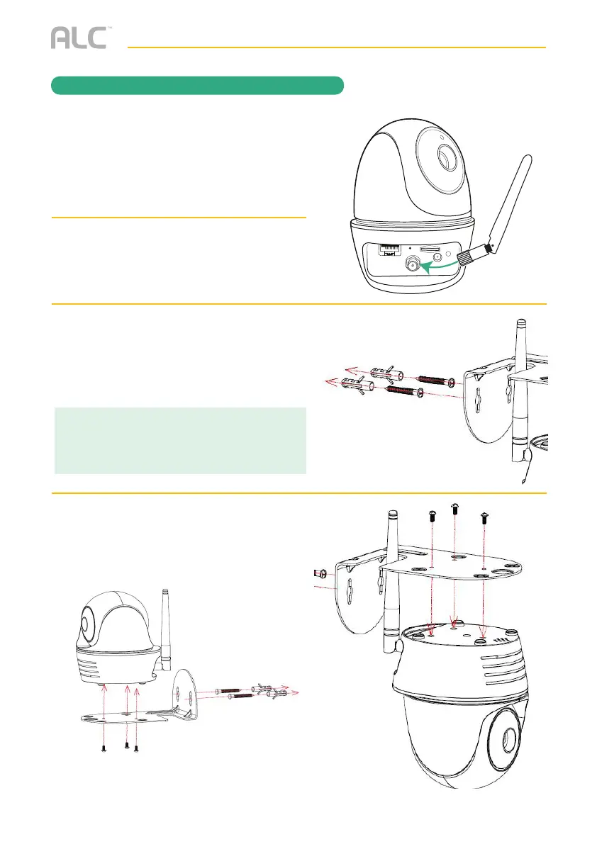 Page #10 background image