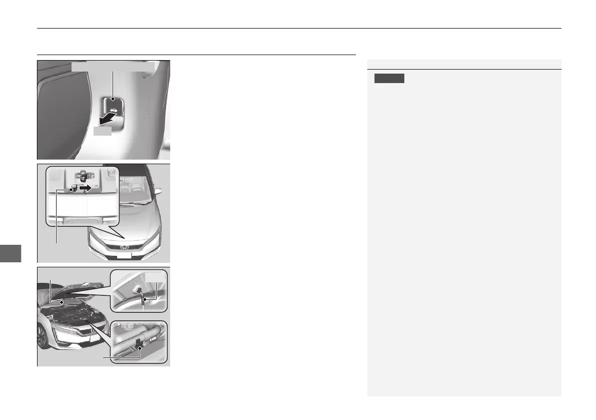 Page #462 background image