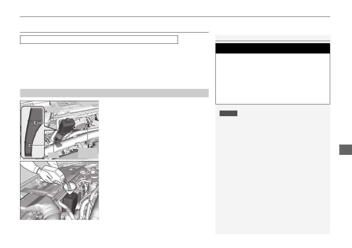 Page #463 background image