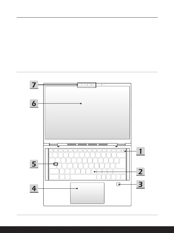 Page #17 background image