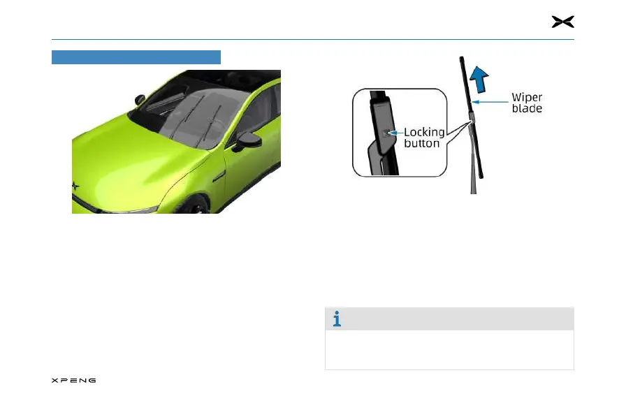 Page #209 background image