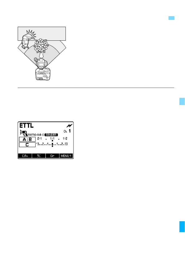 Page #135 background image