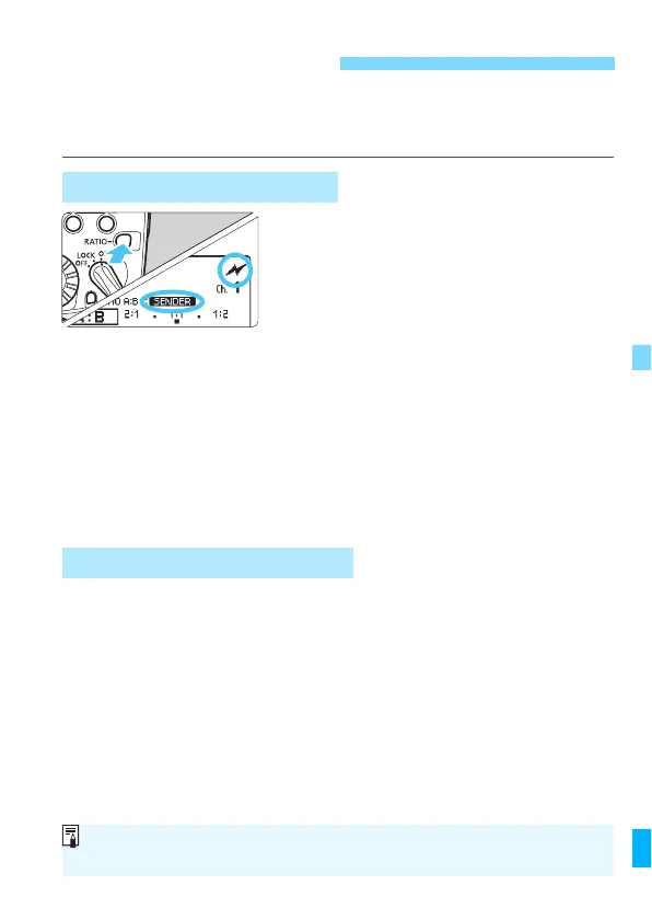 Page #217 background image