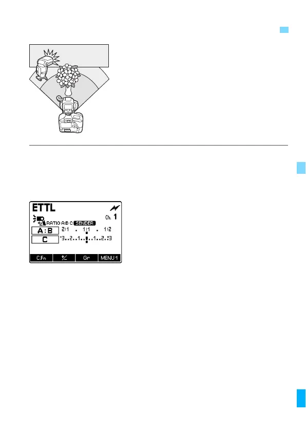 Page #219 background image