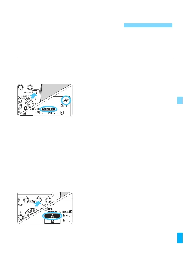 Page #225 background image