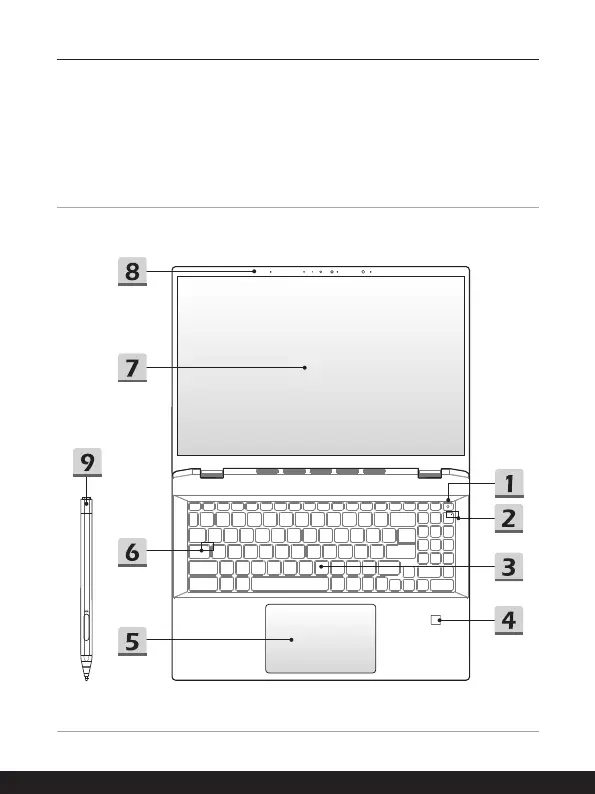 Page #17 background image