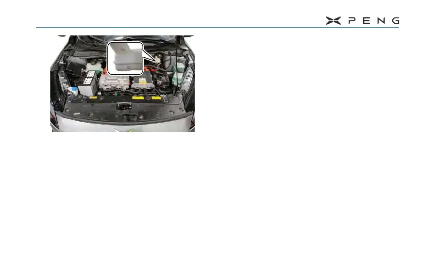 Page #230 background image