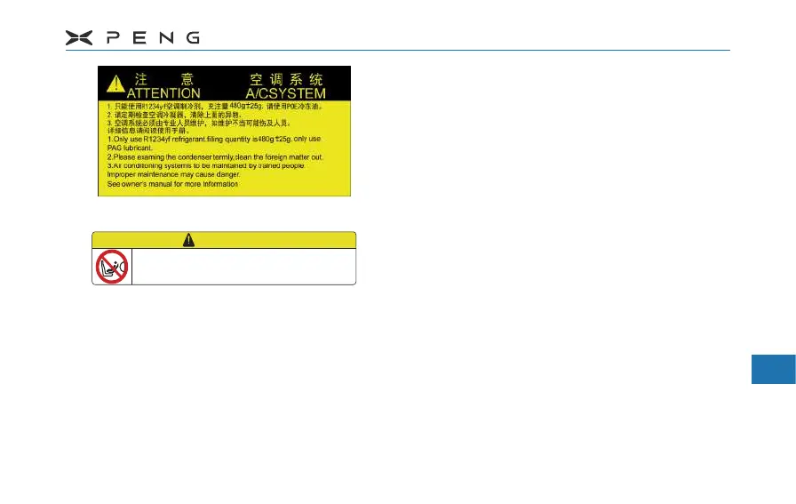 Page #241 background image