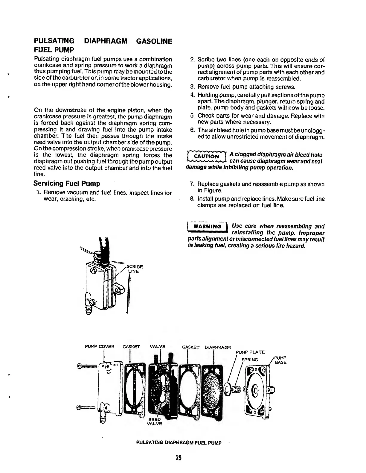 Page #31 background image