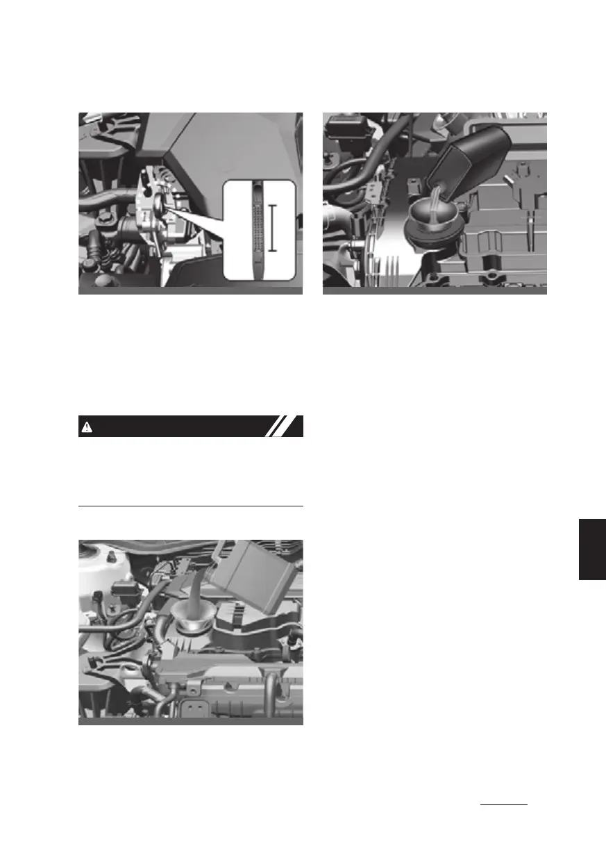 Page #466 background image