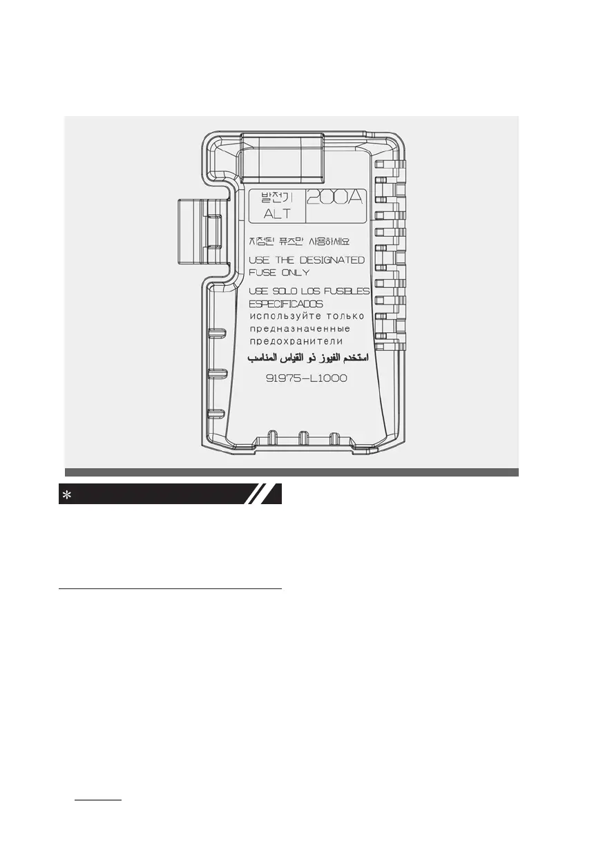 Page #505 background image