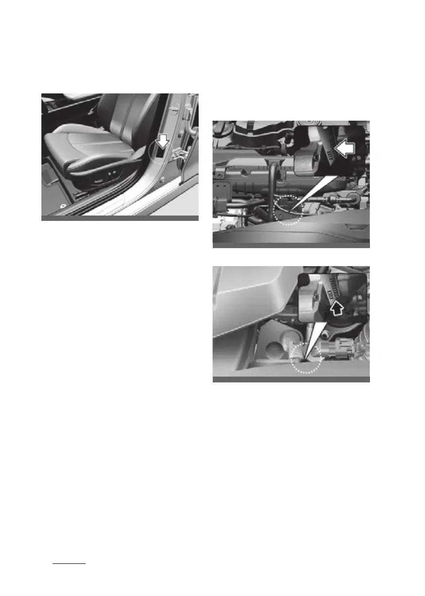 Page #537 background image