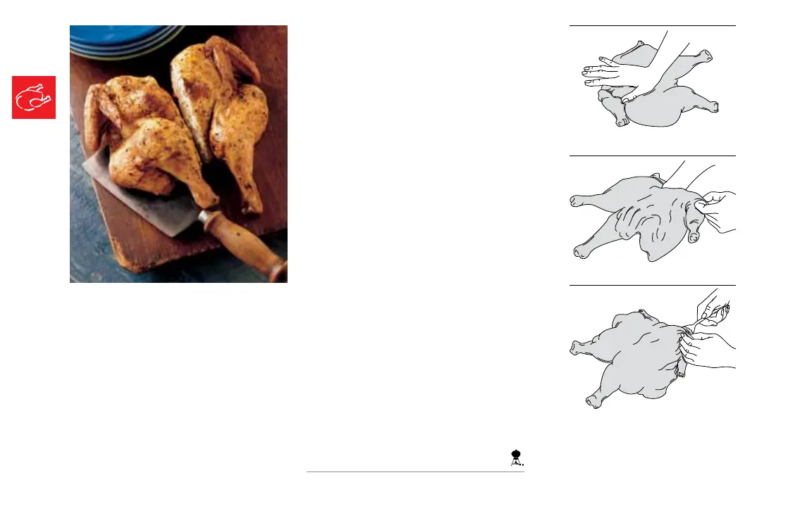 Page #116 background image