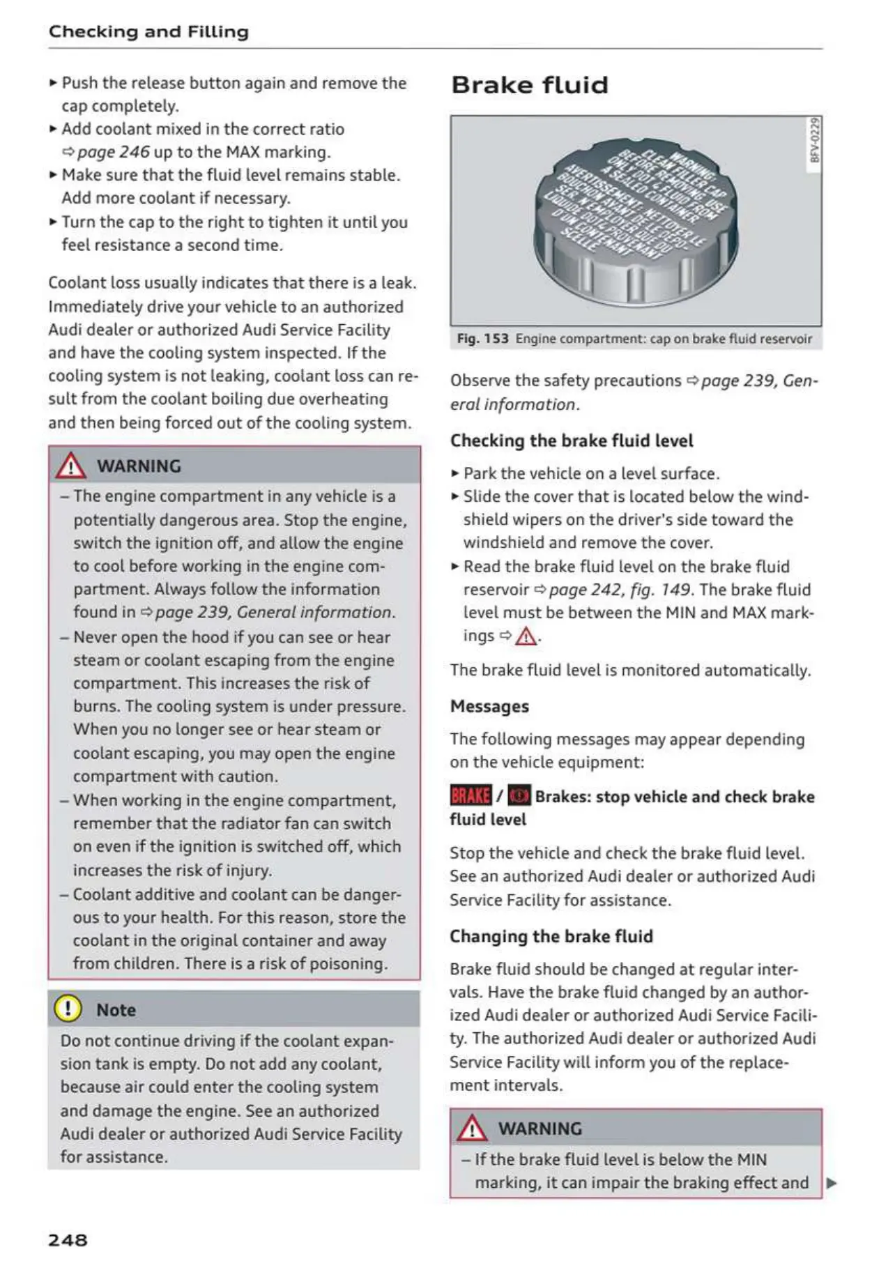 Page #250 background image