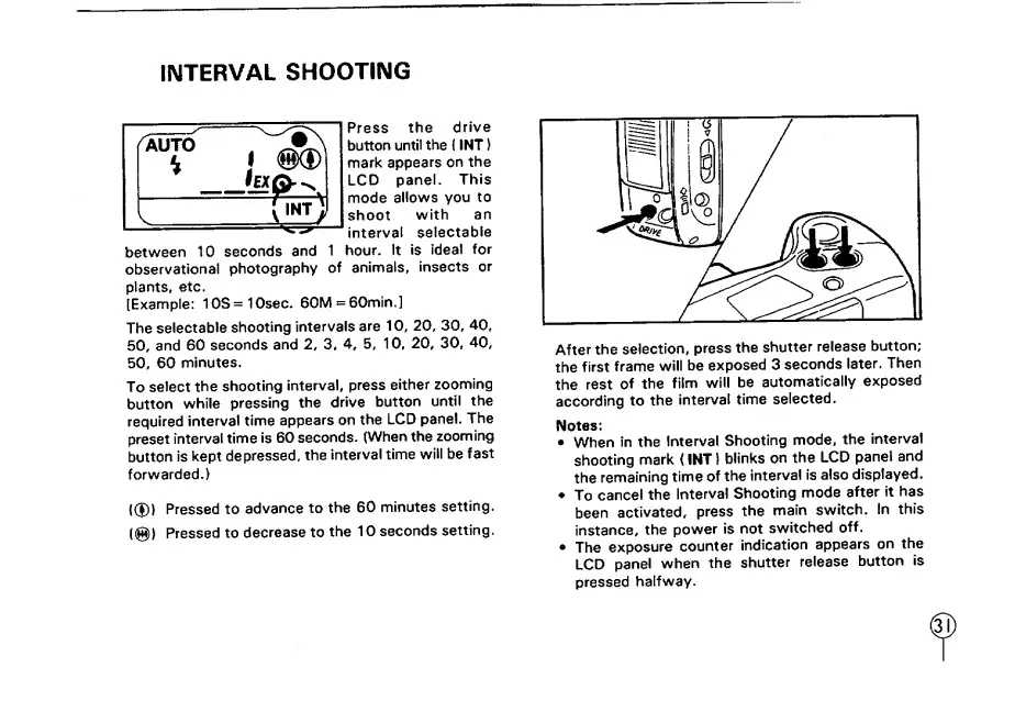 Page #35 background image