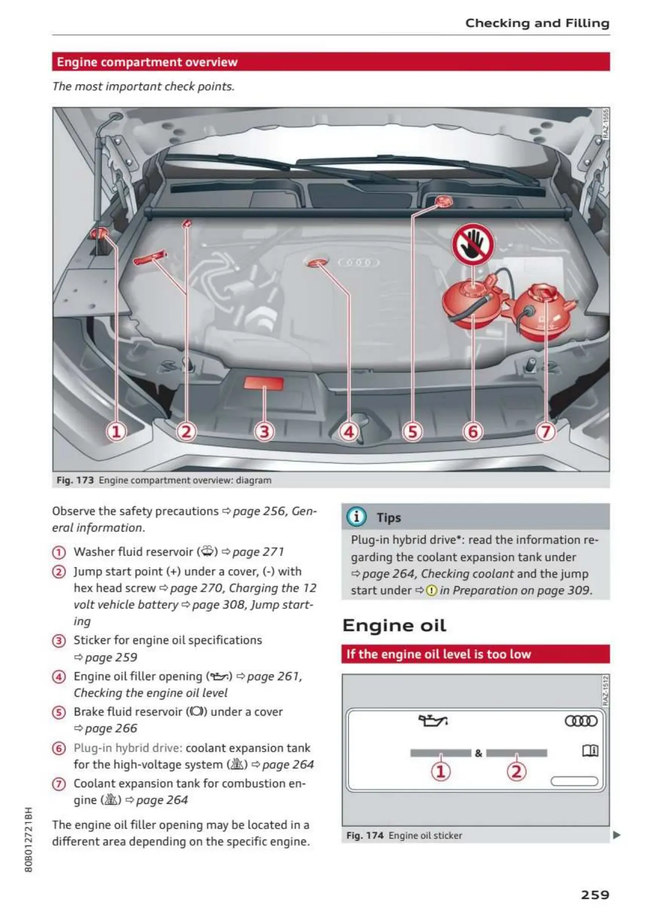 Page #261 background image