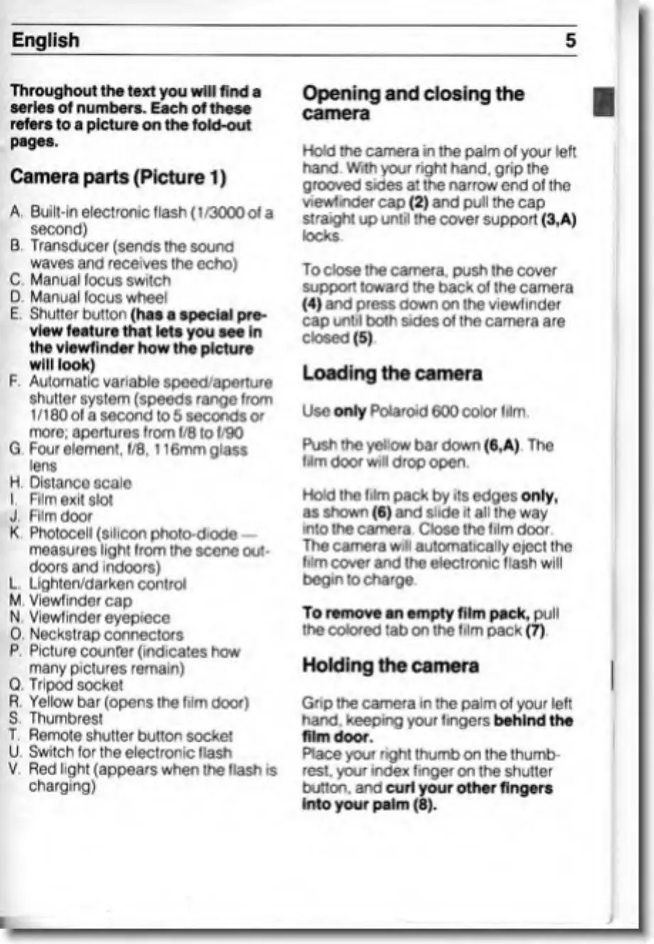 Page #5 background image