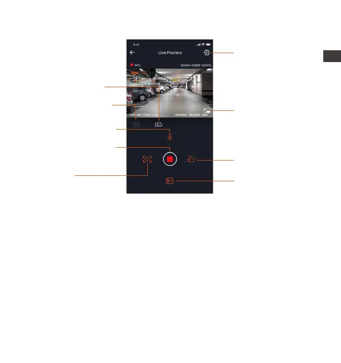 Page #13 background image