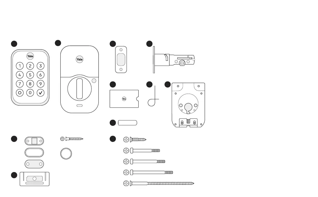 Page #6 background image