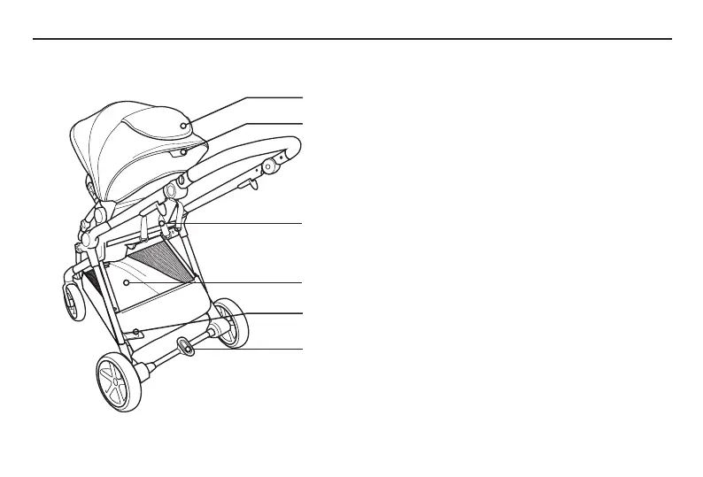 Page #55 background image