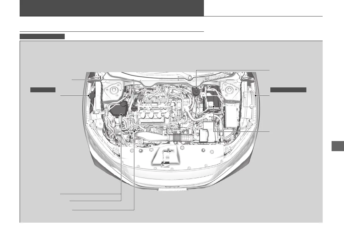 Page #522 background image