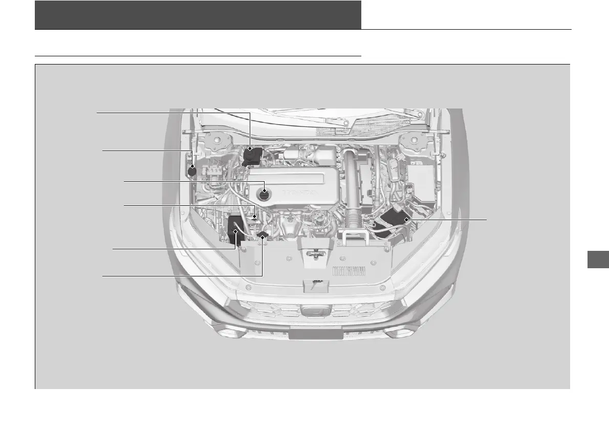 Page #602 background image