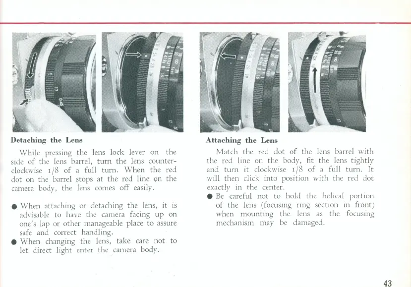 Page #45 background image